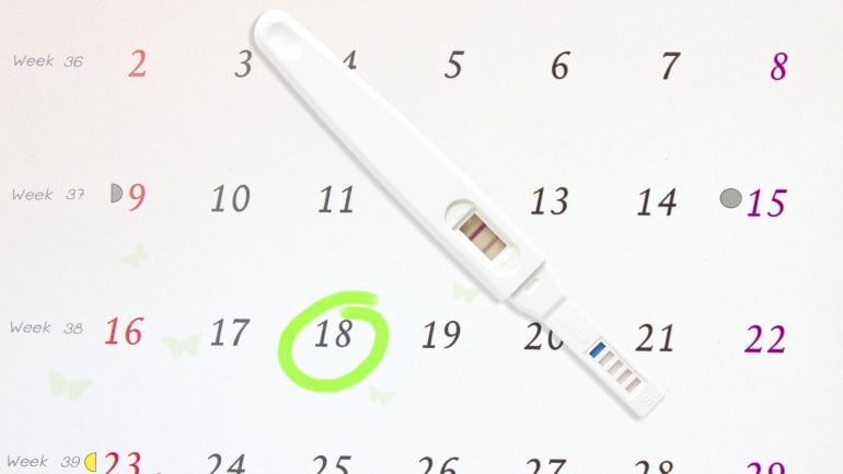 Schwangerschaftstest und Kalender