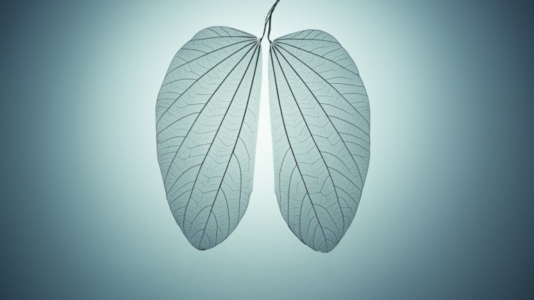 Schematische Darstelung einer Bronchoskopie