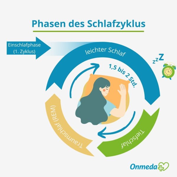 Grafische Darstellung der Phasen des Schlafzyklus | © Onmeda