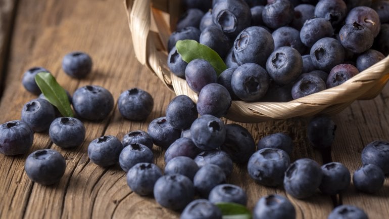 Antioxidantien: Heidelbeeren sind voll davon