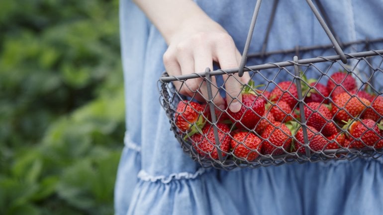 Ernährung bei Hämorrhoiden: Zuckerarmes Obst