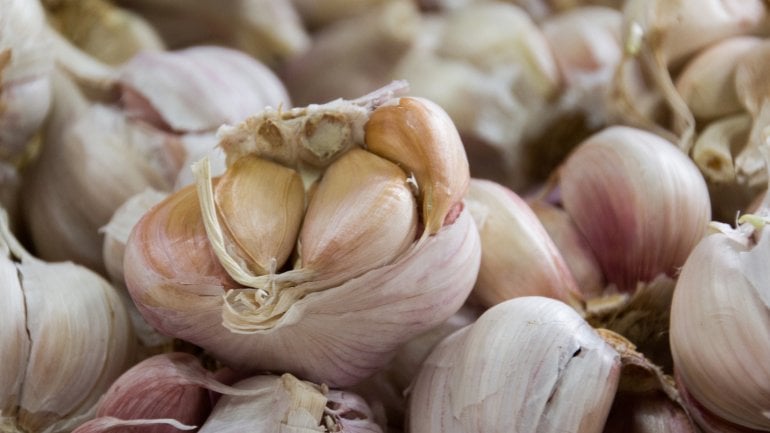 Knoblauch: Gesundes Lebensmittel für ein langes Leben