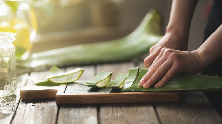 Was hilft gegen Mückenstiche? Aloe Vera