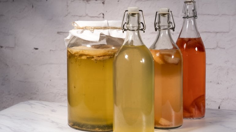 Kombucha: Probiotika zum Trinken