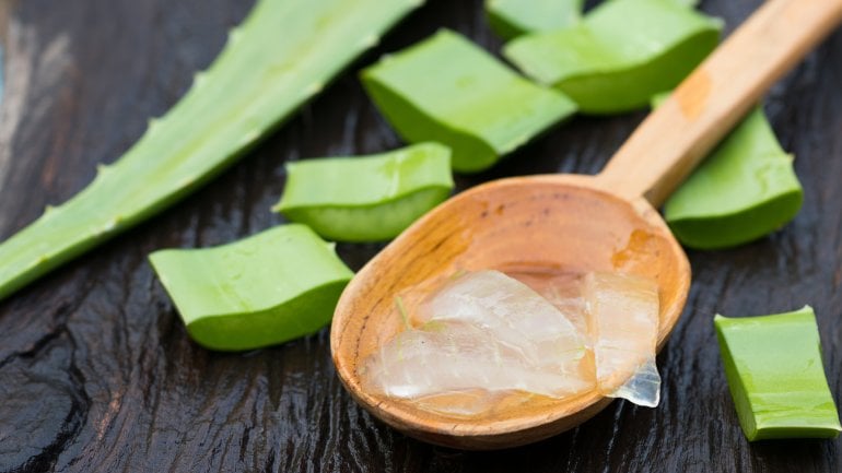 Aloe vera als Hausmittel bei Sonnenbrand