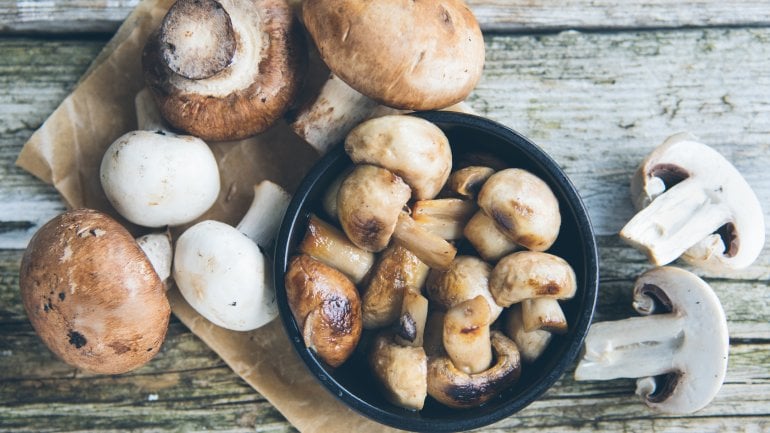 Champignons sind eine wertvolle Jodquelle