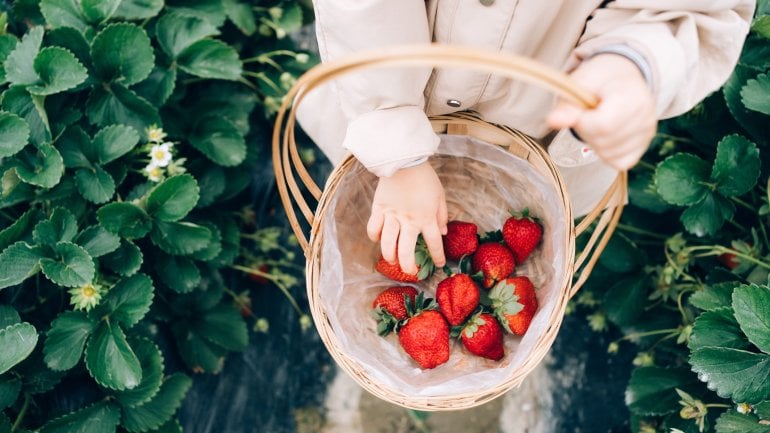 Erdbeeren enthalten Magnesium