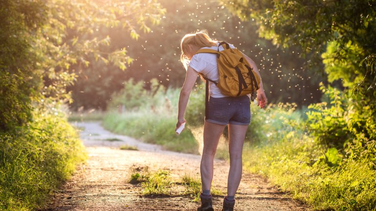 Was hilft gegen Mücken? Repellents mit DEET