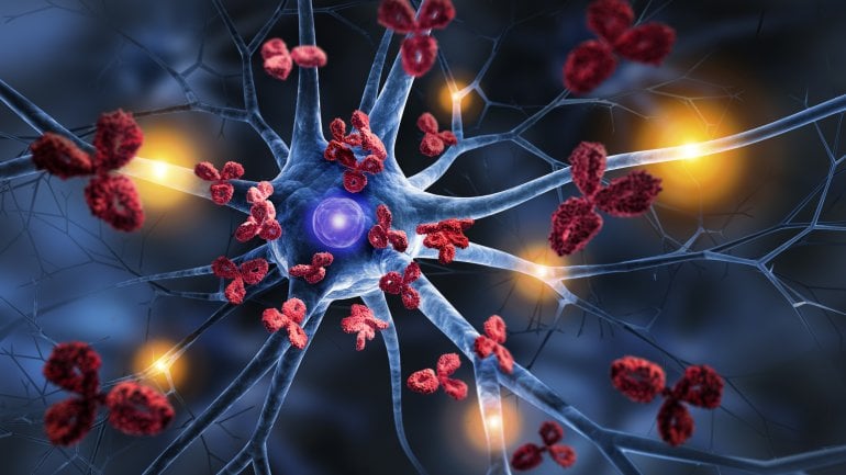 Gestörtes Immunsystem: Zentrale Ursache für MS