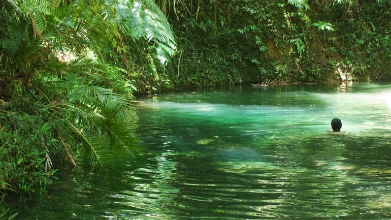 Jemand schwimmt in einem tropisch anmutenden See.