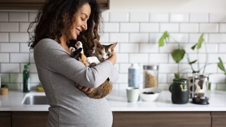 Toxoplasmose kann durch Katzen übertragen werden