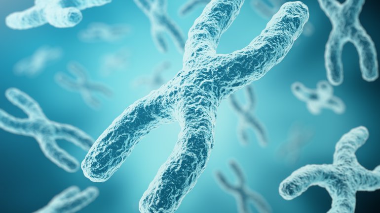 Turner-Syndrom (Erbkrankheit bei Frauen): X-Chromosomen