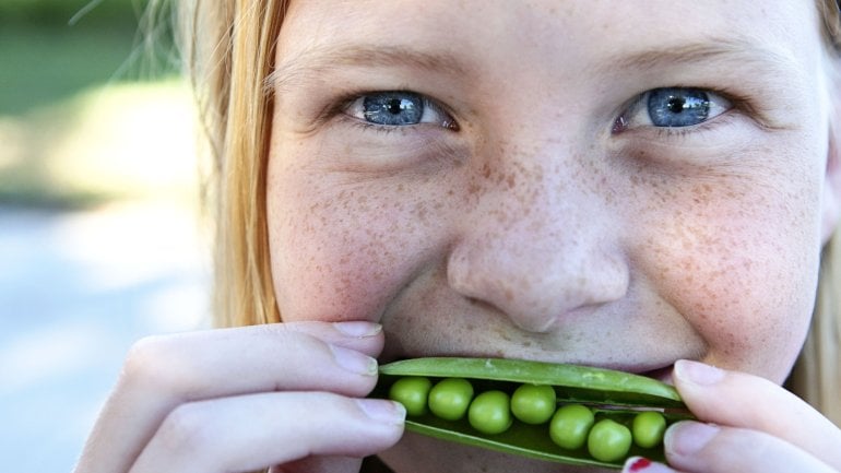 Hülsenfrüchte sind Lebensmittel mit Vitamin B3