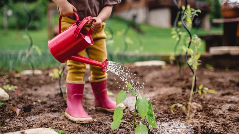 Zinkmangel führt bei Kindern zu Wachstumsverzögerung